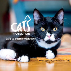 Cats Protection